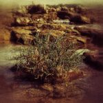 IMG_20220916_151936-01