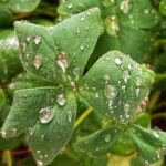 IMG_20230424_130814-01